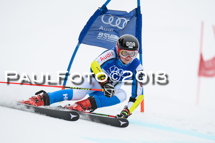 FIS Riesenslalom, Damen + Herren, Oberjoch, 15.02.2018