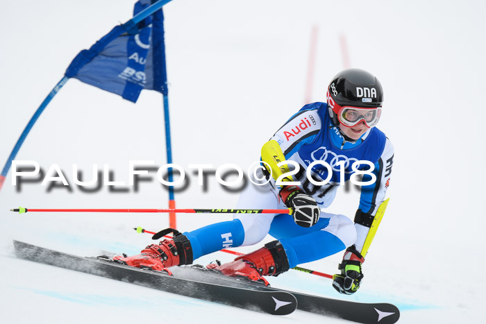 FIS Riesenslalom, Damen + Herren, Oberjoch, 15.02.2018