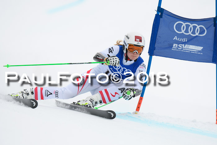 FIS Riesenslalom, Damen + Herren, Oberjoch, 15.02.2018