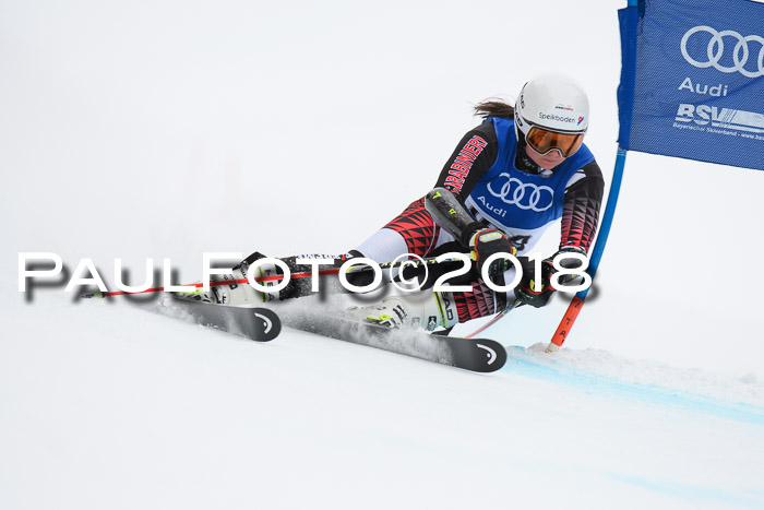 FIS Riesenslalom, Damen + Herren, Oberjoch, 15.02.2018