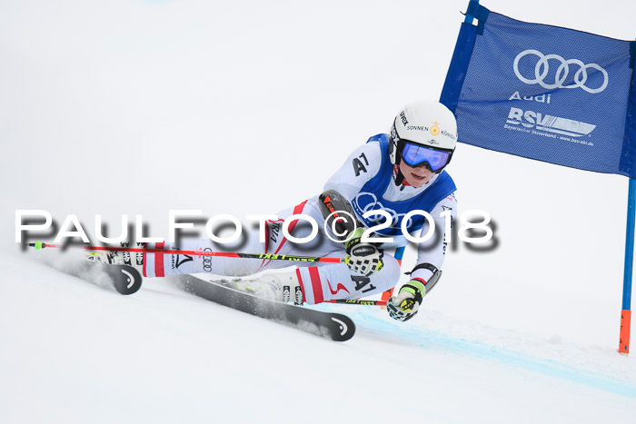 FIS Riesenslalom, Damen + Herren, Oberjoch, 15.02.2018