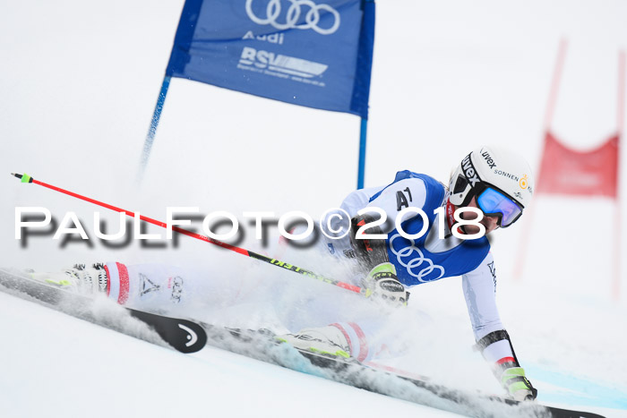 FIS Riesenslalom, Damen + Herren, Oberjoch, 15.02.2018