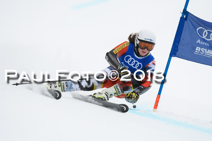 FIS Riesenslalom, Damen + Herren, Oberjoch, 15.02.2018