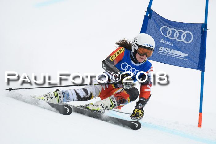 FIS Riesenslalom, Damen + Herren, Oberjoch, 15.02.2018