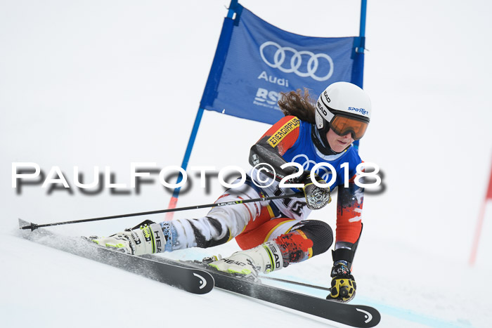 FIS Riesenslalom, Damen + Herren, Oberjoch, 15.02.2018