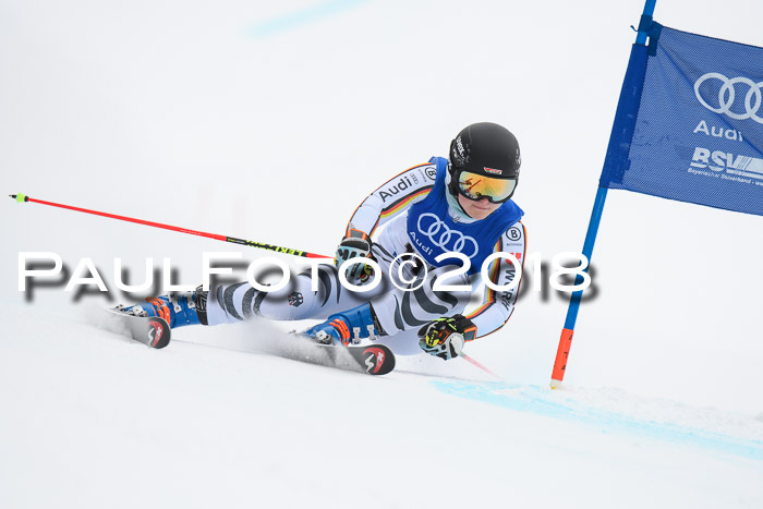 FIS Riesenslalom, Damen + Herren, Oberjoch, 15.02.2018