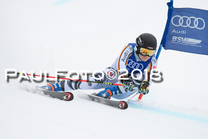 FIS Riesenslalom, Damen + Herren, Oberjoch, 15.02.2018