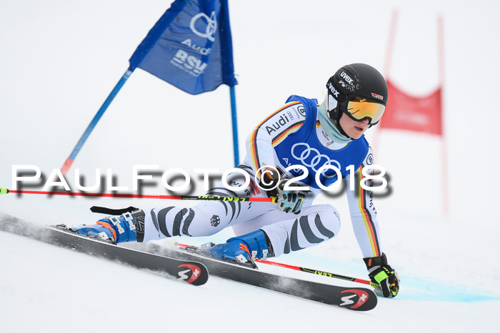 FIS Riesenslalom, Damen + Herren, Oberjoch, 15.02.2018