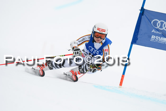 FIS Riesenslalom, Damen + Herren, Oberjoch, 15.02.2018