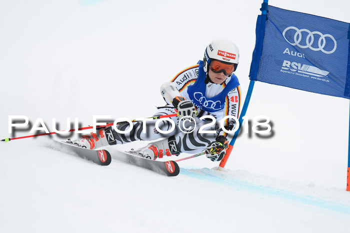 FIS Riesenslalom, Damen + Herren, Oberjoch, 15.02.2018