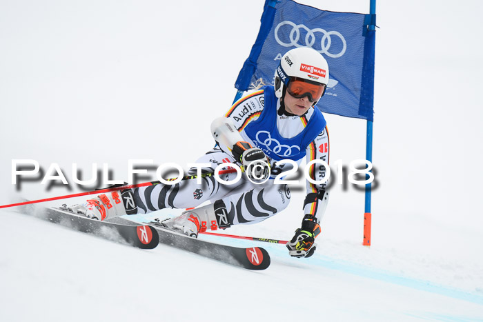 FIS Riesenslalom, Damen + Herren, Oberjoch, 15.02.2018