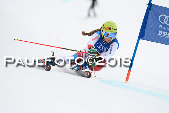 FIS Riesenslalom, Damen + Herren, Oberjoch, 15.02.2018