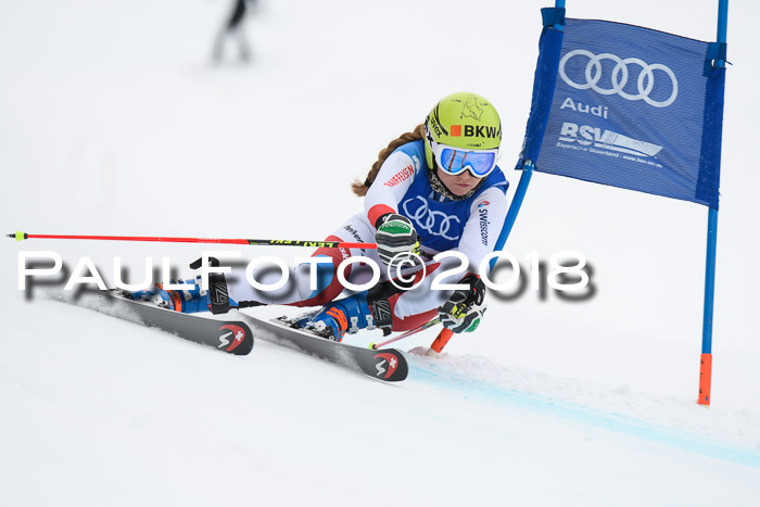 FIS Riesenslalom, Damen + Herren, Oberjoch, 15.02.2018