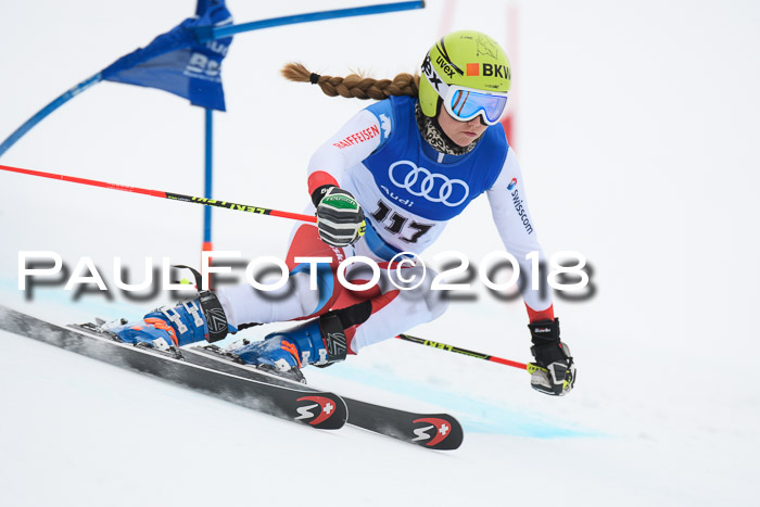 FIS Riesenslalom, Damen + Herren, Oberjoch, 15.02.2018