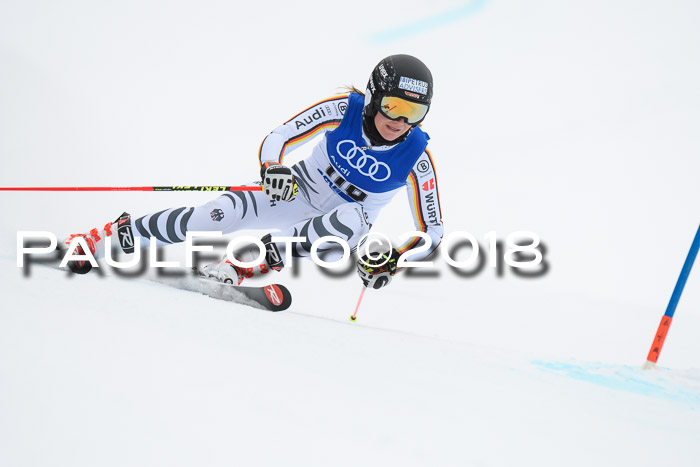 FIS Riesenslalom, Damen + Herren, Oberjoch, 15.02.2018