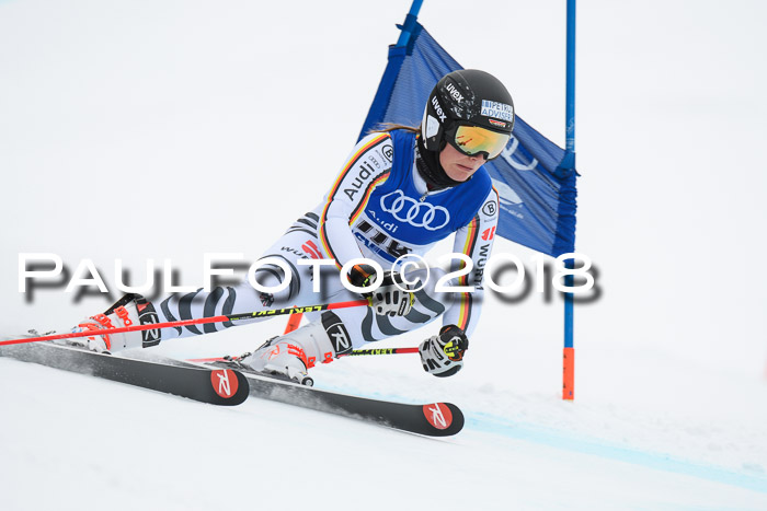 FIS Riesenslalom, Damen + Herren, Oberjoch, 15.02.2018