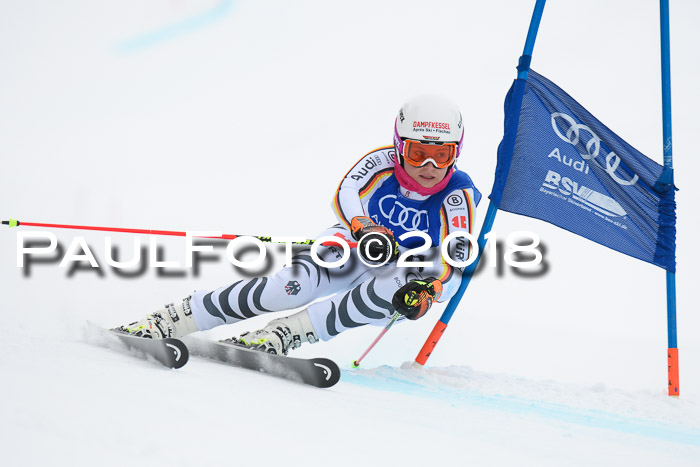 FIS Riesenslalom, Damen + Herren, Oberjoch, 15.02.2018