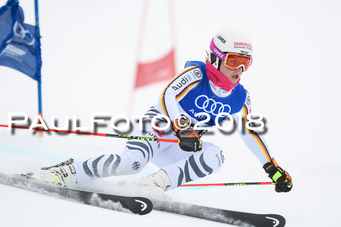 FIS Riesenslalom, Damen + Herren, Oberjoch, 15.02.2018