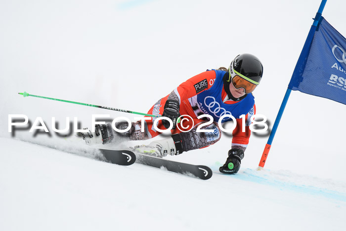 FIS Riesenslalom, Damen + Herren, Oberjoch, 15.02.2018