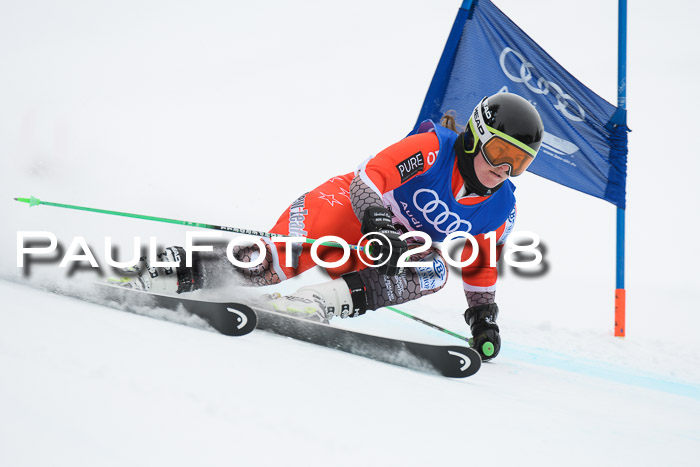 FIS Riesenslalom, Damen + Herren, Oberjoch, 15.02.2018