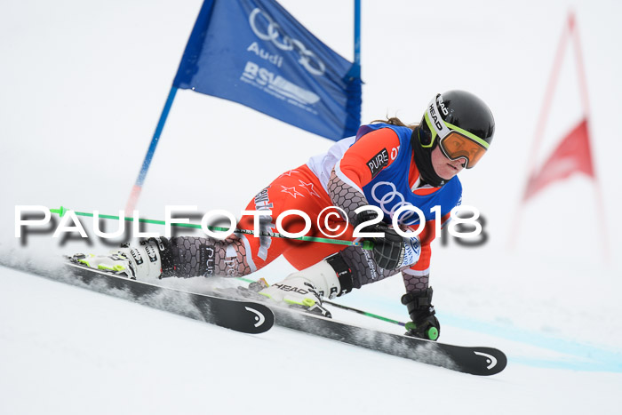 FIS Riesenslalom, Damen + Herren, Oberjoch, 15.02.2018
