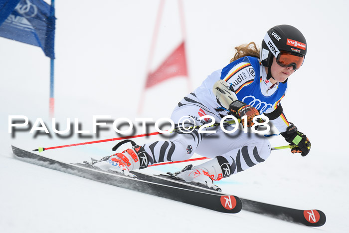 FIS Riesenslalom, Damen + Herren, Oberjoch, 15.02.2018
