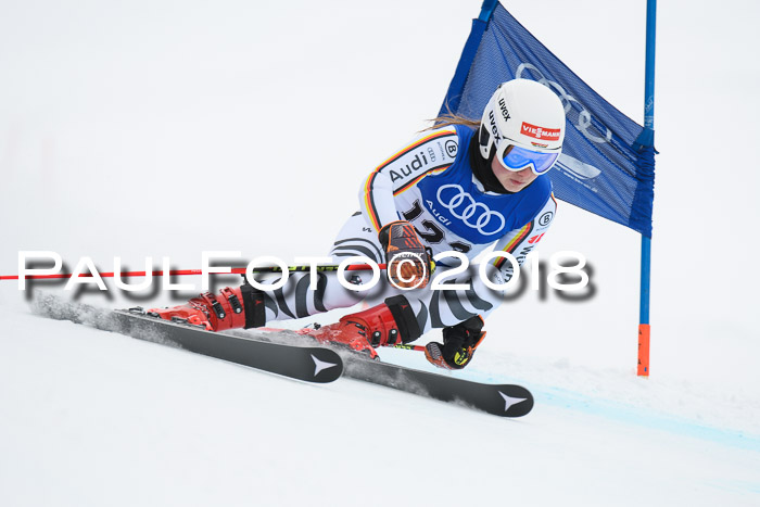 FIS Riesenslalom, Damen + Herren, Oberjoch, 15.02.2018