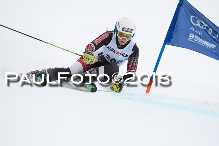 FIS Riesenslalom, Damen + Herren, Oberjoch, 15.02.2018