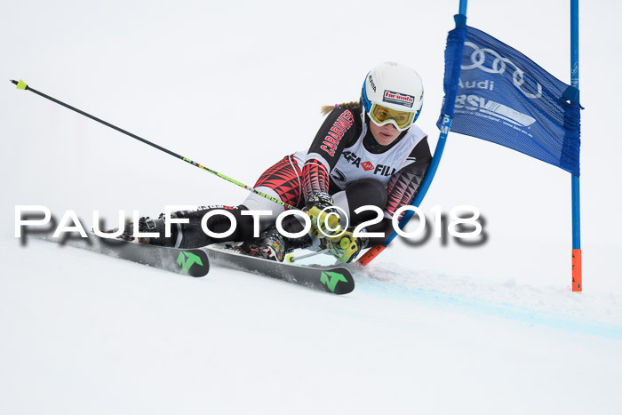 FIS Riesenslalom, Damen + Herren, Oberjoch, 15.02.2018