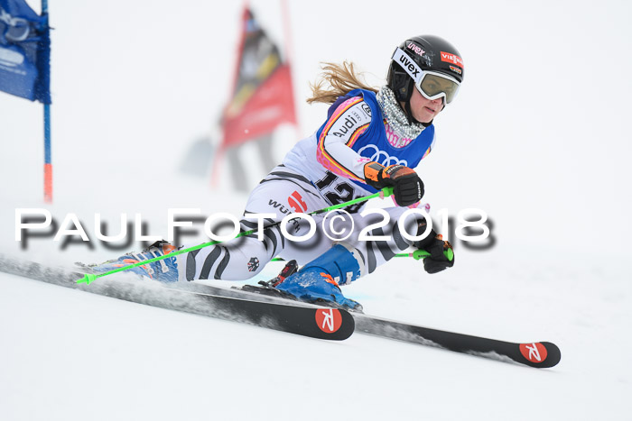 FIS Riesenslalom, Damen + Herren, Oberjoch, 15.02.2018