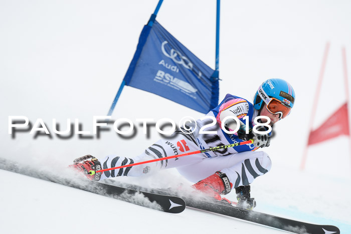 FIS Riesenslalom, Damen + Herren, Oberjoch, 15.02.2018