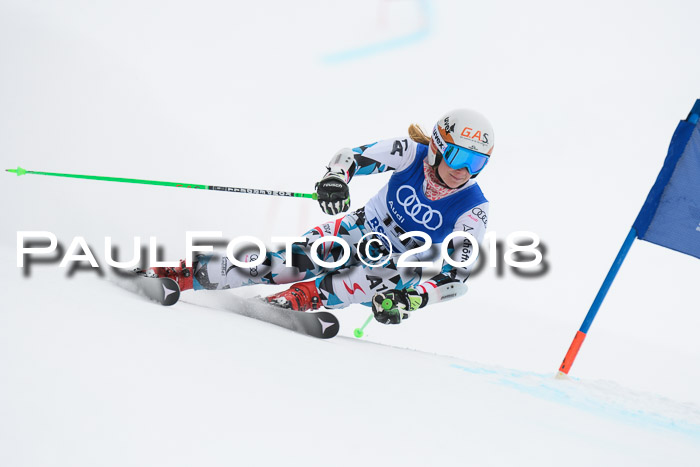 FIS Riesenslalom, Damen + Herren, Oberjoch, 15.02.2018