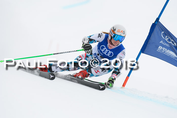 FIS Riesenslalom, Damen + Herren, Oberjoch, 15.02.2018