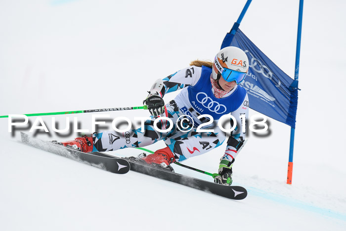 FIS Riesenslalom, Damen + Herren, Oberjoch, 15.02.2018