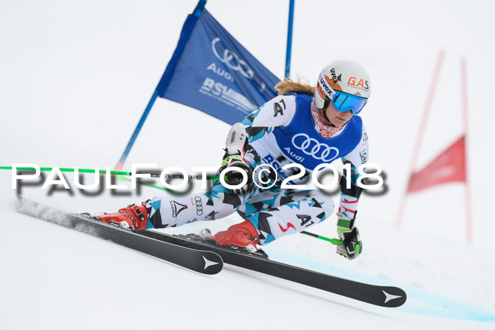 FIS Riesenslalom, Damen + Herren, Oberjoch, 15.02.2018