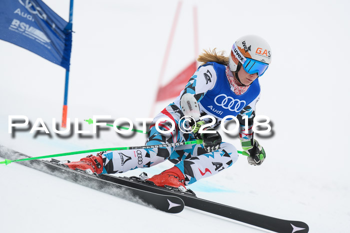 FIS Riesenslalom, Damen + Herren, Oberjoch, 15.02.2018
