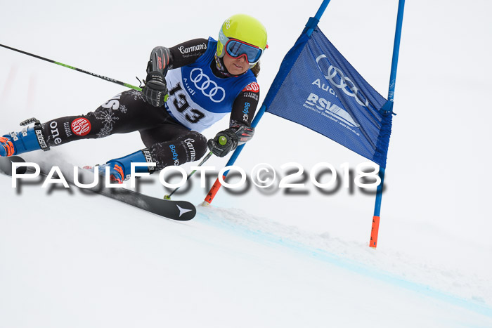 FIS Riesenslalom, Damen + Herren, Oberjoch, 15.02.2018