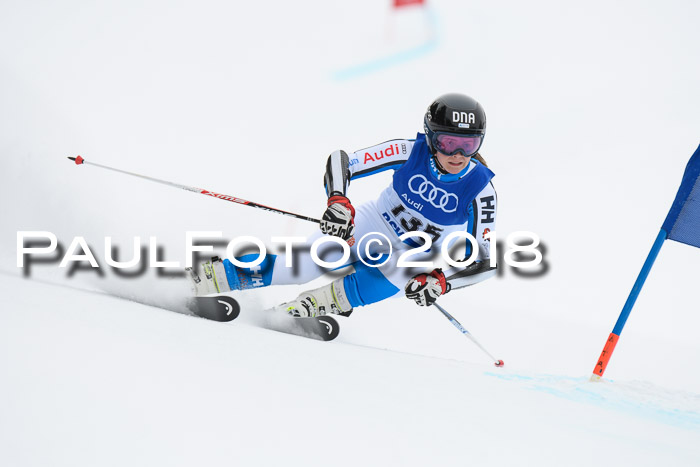 FIS Riesenslalom, Damen + Herren, Oberjoch, 15.02.2018