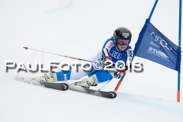 FIS Riesenslalom, Damen + Herren, Oberjoch, 15.02.2018
