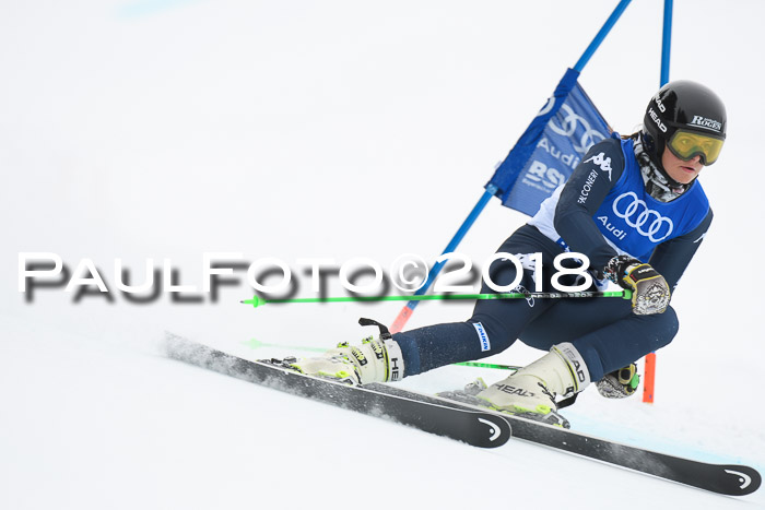 FIS Riesenslalom, Damen + Herren, Oberjoch, 15.02.2018