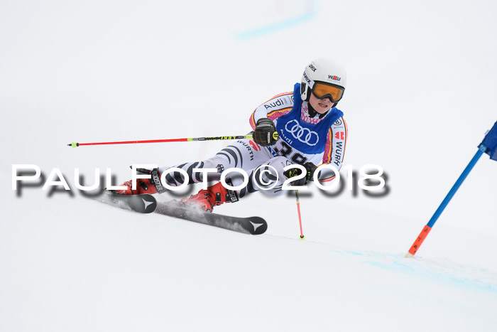 FIS Riesenslalom, Damen + Herren, Oberjoch, 15.02.2018