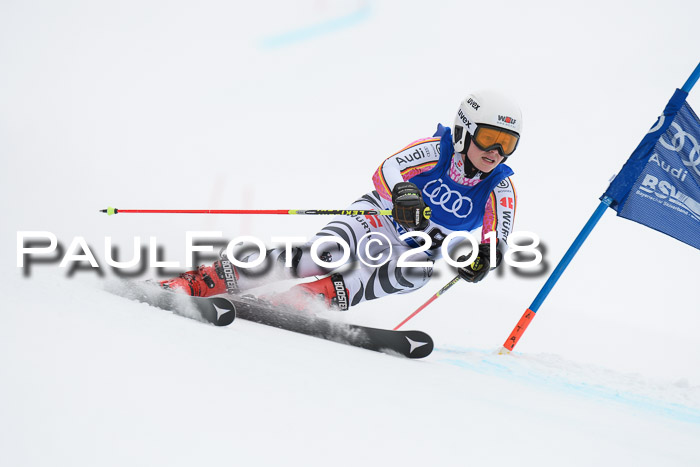 FIS Riesenslalom, Damen + Herren, Oberjoch, 15.02.2018