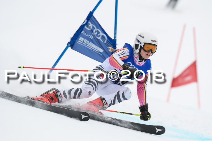 FIS Riesenslalom, Damen + Herren, Oberjoch, 15.02.2018