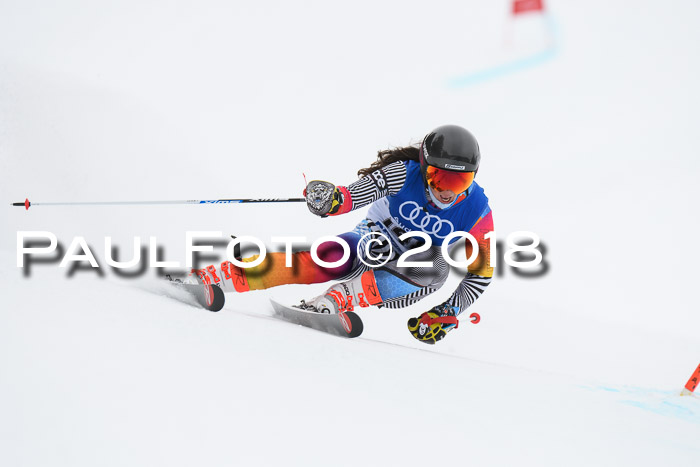 FIS Riesenslalom, Damen + Herren, Oberjoch, 15.02.2018