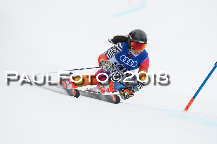 FIS Riesenslalom, Damen + Herren, Oberjoch, 15.02.2018