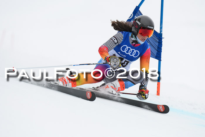 FIS Riesenslalom, Damen + Herren, Oberjoch, 15.02.2018