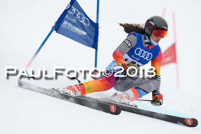 FIS Riesenslalom, Damen + Herren, Oberjoch, 15.02.2018