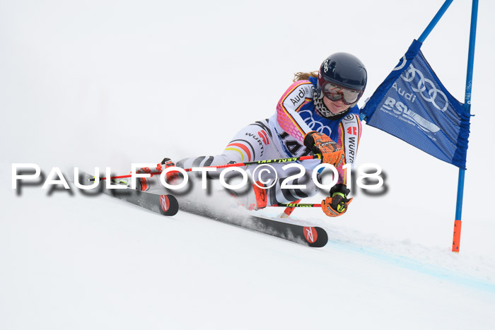 FIS Riesenslalom, Damen + Herren, Oberjoch, 15.02.2018