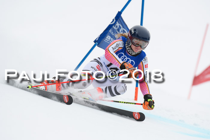 FIS Riesenslalom, Damen + Herren, Oberjoch, 15.02.2018