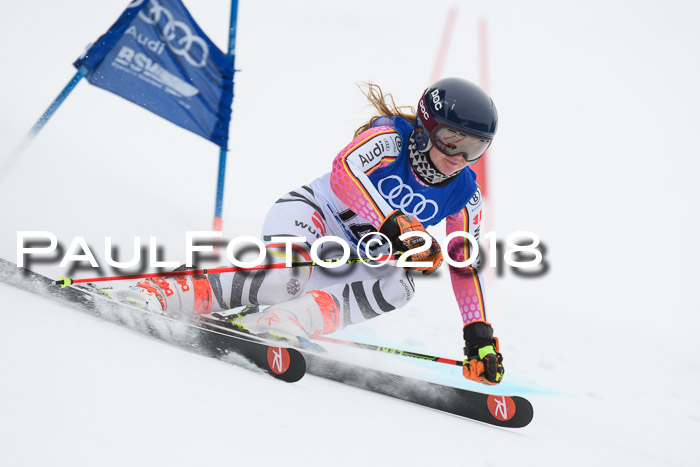 FIS Riesenslalom, Damen + Herren, Oberjoch, 15.02.2018
